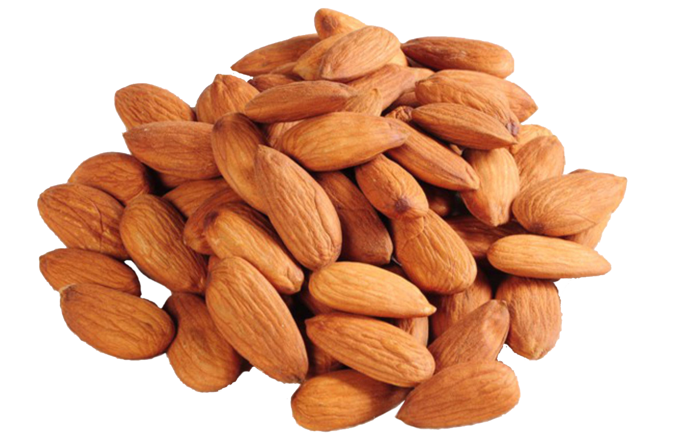 Almond-Nut-Transparent-PNG